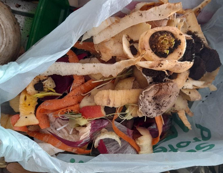 How to Reduce Food Waste: Myths and Facts