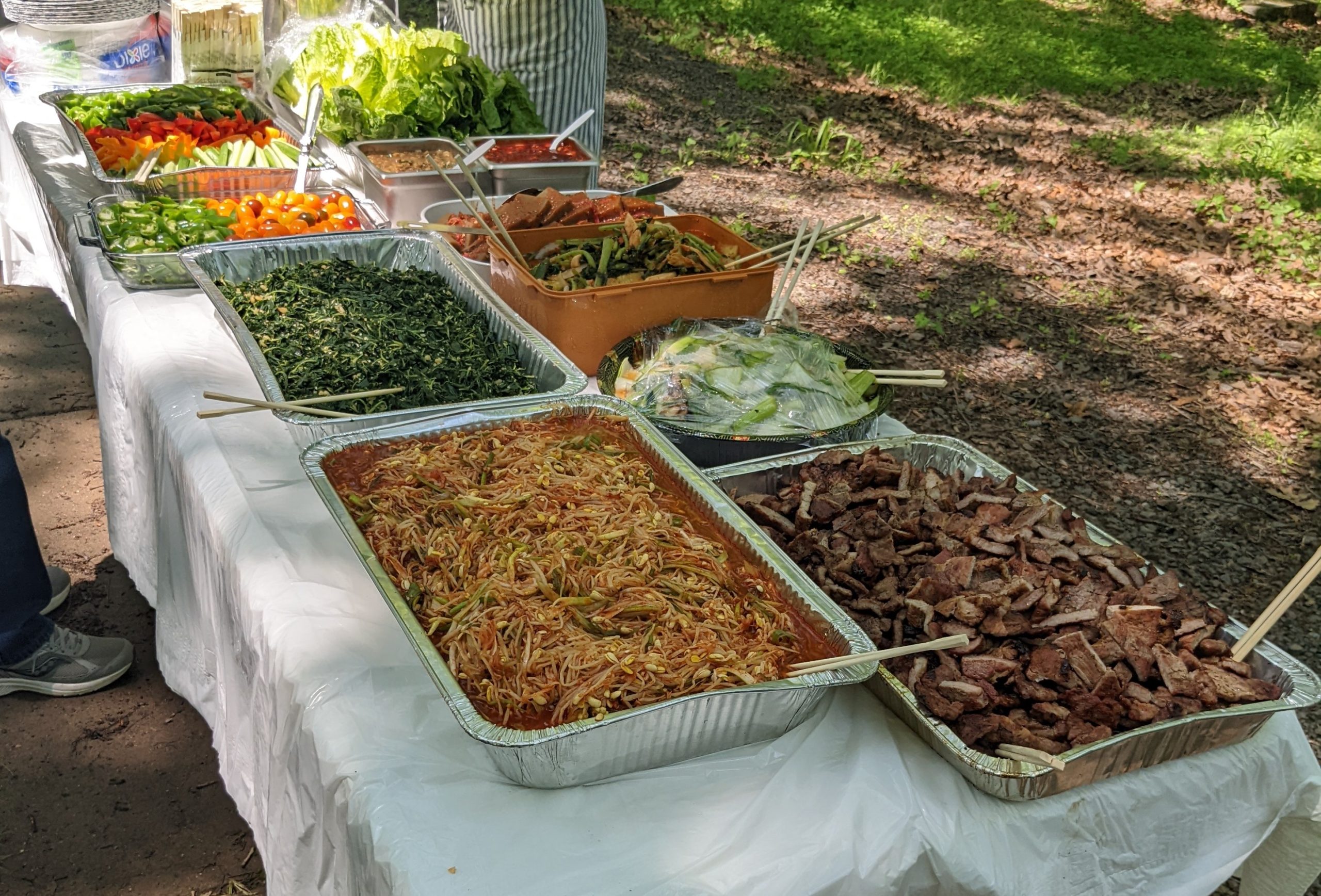 Outdoor potluck table with trays of seasoned bean sprouts, sliced beef, greens and vegetables