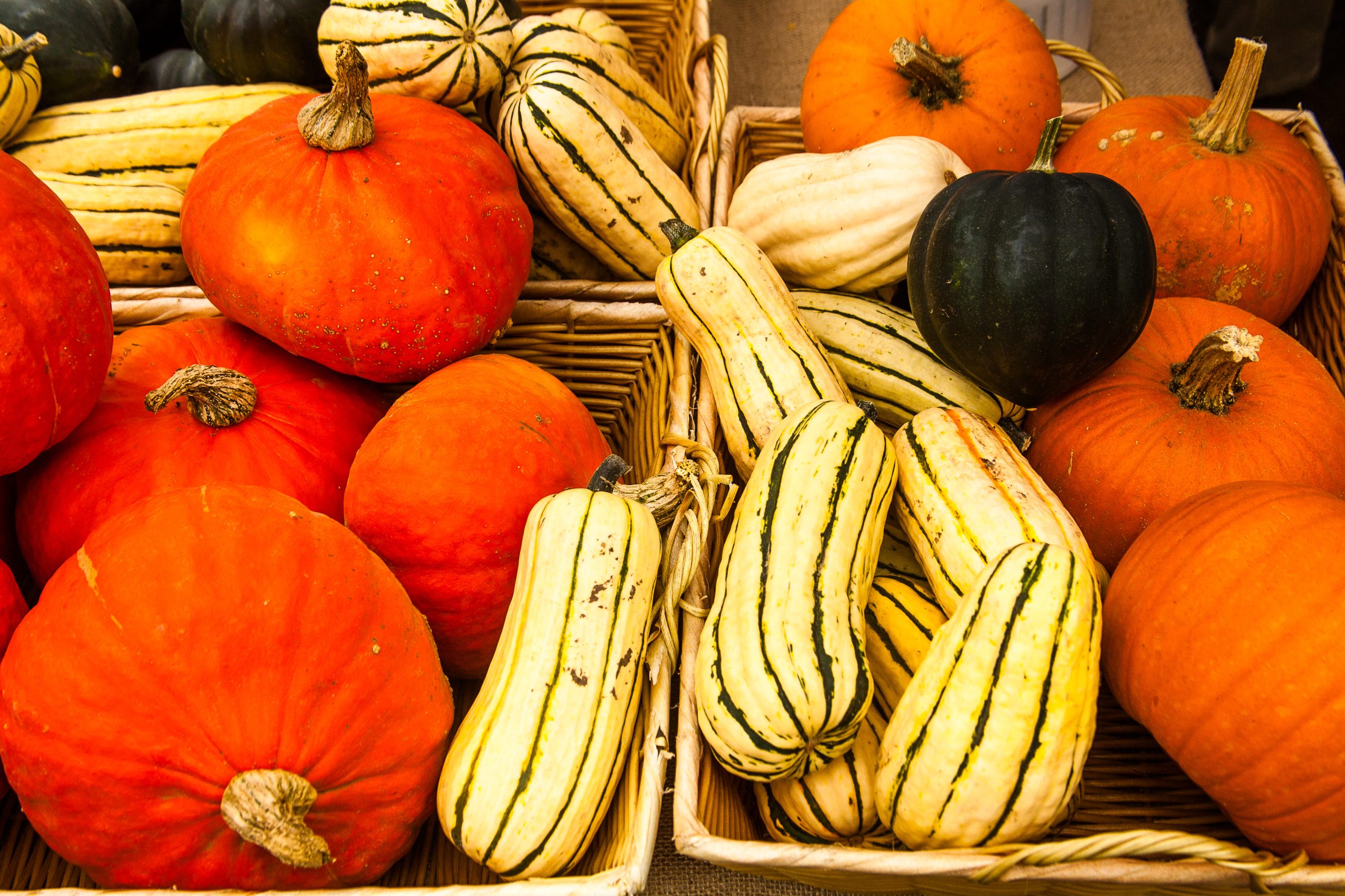 A pile of orange pumpkins and striped delicata squash at a fall produce stand